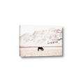 Picture of Horse in Field  _GroupedProduct_Rectangle_Landscape_Photography _GroupedProduct_Rectangle_Landscape_Canvas_
