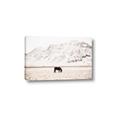Picture of Horse in Field  _GroupedProduct_Rectangle_Landscape_Photography _GroupedProduct_Rectangle_Landscape_Canvas_