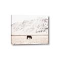 Picture of Horse in Field  _GroupedProduct_Rectangle_Landscape_Photography _GroupedProduct_Rectangle_Landscape_Canvas_