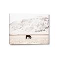 Picture of Horse in Field  _GroupedProduct_Rectangle_Landscape_Photography _GroupedProduct_Rectangle_Landscape_Canvas_