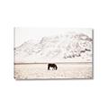 Picture of Horse in Field  _GroupedProduct_Rectangle_Landscape_Photography _GroupedProduct_Rectangle_Landscape_Canvas_