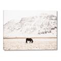 Picture of Horse in Field  _GroupedProduct_Rectangle_Landscape_Photography _GroupedProduct_Rectangle_Landscape_Canvas_