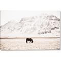 Picture of Horse in Field  _GroupedProduct_Rectangle_Landscape_Photography _GroupedProduct_Rectangle_Landscape_Canvas_