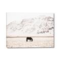 Picture of Horse in Field  _GroupedProduct_Rectangle_Landscape_Photography _GroupedProduct_Rectangle_Landscape_Canvas_