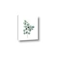 Picture of Leaves III _GroupedProduct_Rectangle_Portrait_Canvas_