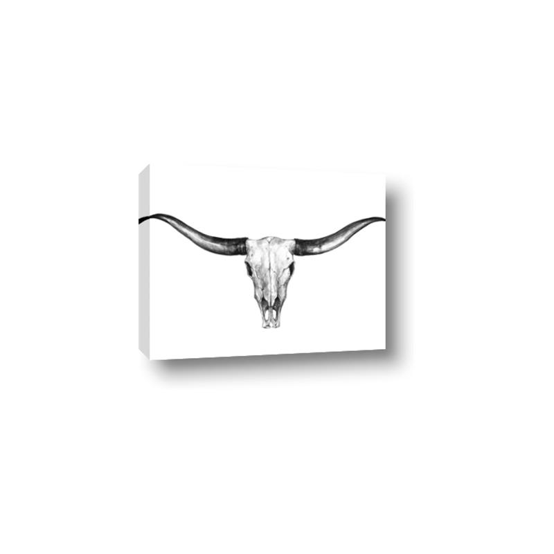 Picture of Skull _GroupedProduct_Rectangle_Landscape_Photography _GroupedProduct_Rectangle_Landscape_Canvas_