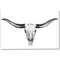 Picture of Skull _GroupedProduct_Rectangle_Landscape_Photography _GroupedProduct_Rectangle_Landscape_Canvas_