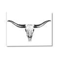 Picture of Skull _GroupedProduct_Rectangle_Landscape_Photography _GroupedProduct_Rectangle_Landscape_Canvas_