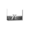 Picture of Field Sheep  _GroupedProduct_Rectangle_Landscape_Photography _GroupedProduct_Rectangle_Landscape_Canvas_
