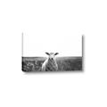 Picture of Field Sheep  _GroupedProduct_Rectangle_Landscape_Photography _GroupedProduct_Rectangle_Landscape_Canvas_