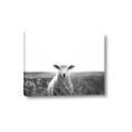Picture of Field Sheep  _GroupedProduct_Rectangle_Landscape_Photography _GroupedProduct_Rectangle_Landscape_Canvas_