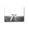 Picture of Field Sheep  _GroupedProduct_Rectangle_Landscape_Photography _GroupedProduct_Rectangle_Landscape_Canvas_
