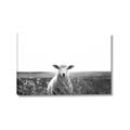 Picture of Field Sheep  _GroupedProduct_Rectangle_Landscape_Photography _GroupedProduct_Rectangle_Landscape_Canvas_