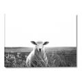 Picture of Field Sheep  _GroupedProduct_Rectangle_Landscape_Photography _GroupedProduct_Rectangle_Landscape_Canvas_