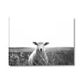 Picture of Field Sheep  _GroupedProduct_Rectangle_Landscape_Photography _GroupedProduct_Rectangle_Landscape_Canvas_