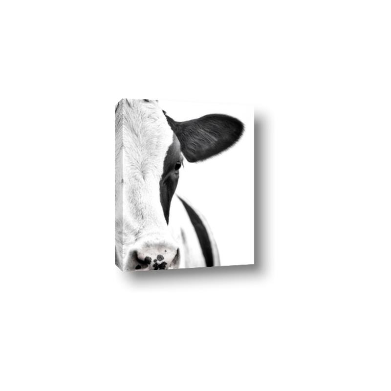 Picture of Side Cow _GroupedProduct_Rectangle_Portrait_Photography _GroupedProduct_Rectangle_Portrait_Canvas_