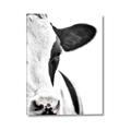 Picture of Side Cow _GroupedProduct_Rectangle_Portrait_Photography _GroupedProduct_Rectangle_Portrait_Canvas_