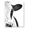 Picture of Side Cow _GroupedProduct_Rectangle_Portrait_Photography _GroupedProduct_Rectangle_Portrait_Canvas_