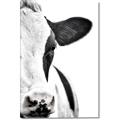 Picture of Side Cow _GroupedProduct_Rectangle_Portrait_Photography _GroupedProduct_Rectangle_Portrait_Canvas_