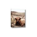 Picture of Furry Brown Cow _GroupedProduct_Rectangle_Portrait_Photography _GroupedProduct_Rectangle_Portrait_Canvas_