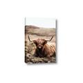 Picture of Furry Brown Cow _GroupedProduct_Rectangle_Portrait_Photography _GroupedProduct_Rectangle_Portrait_Canvas_