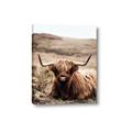Picture of Furry Brown Cow _GroupedProduct_Rectangle_Portrait_Photography _GroupedProduct_Rectangle_Portrait_Canvas_