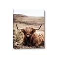 Picture of Furry Brown Cow _GroupedProduct_Rectangle_Portrait_Photography _GroupedProduct_Rectangle_Portrait_Canvas_