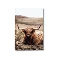 Picture of Furry Brown Cow _GroupedProduct_Rectangle_Portrait_Photography _GroupedProduct_Rectangle_Portrait_Canvas_