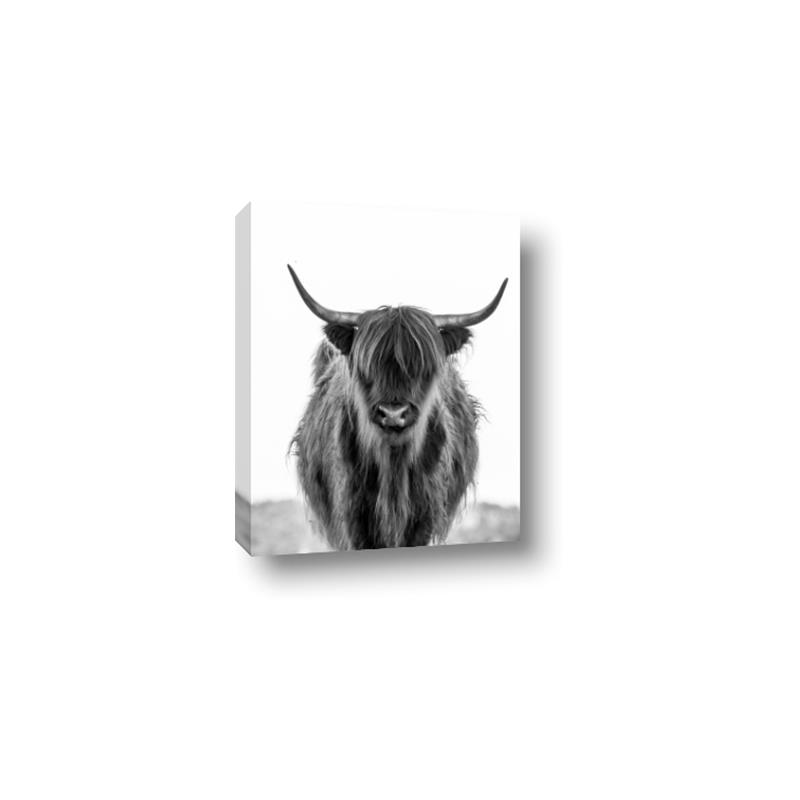 Picture of B&W Highland _GroupedProduct_Rectangle_Portrait_Photography _GroupedProduct_Rectangle_Portrait_Canvas_