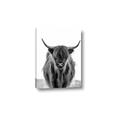 Picture of B&W Highland _GroupedProduct_Rectangle_Portrait_Photography _GroupedProduct_Rectangle_Portrait_Canvas_