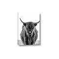 Picture of B&W Highland _GroupedProduct_Rectangle_Portrait_Photography _GroupedProduct_Rectangle_Portrait_Canvas_