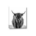 Picture of B&W Highland _GroupedProduct_Rectangle_Portrait_Photography _GroupedProduct_Rectangle_Portrait_Canvas_
