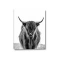 Picture of B&W Highland _GroupedProduct_Rectangle_Portrait_Photography _GroupedProduct_Rectangle_Portrait_Canvas_