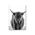 Picture of B&W Highland _GroupedProduct_Rectangle_Portrait_Photography _GroupedProduct_Rectangle_Portrait_Canvas_