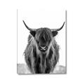 Picture of B&W Highland _GroupedProduct_Rectangle_Portrait_Photography _GroupedProduct_Rectangle_Portrait_Canvas_