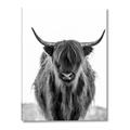 Picture of B&W Highland _GroupedProduct_Rectangle_Portrait_Photography _GroupedProduct_Rectangle_Portrait_Canvas_