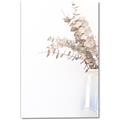Picture of Nautral Eucalyptus  _GroupedProduct_Rectangle_Portrait_Photography _GroupedProduct_Rectangle_Portrait_Canvas_