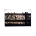 Picture of Farm Fence _GroupedProduct_Rectangle_Landscape_Photography _GroupedProduct_Rectangle_Landscape_Canvas_