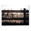 Picture of Farm Fence _GroupedProduct_Rectangle_Landscape_Photography _GroupedProduct_Rectangle_Landscape_Canvas_