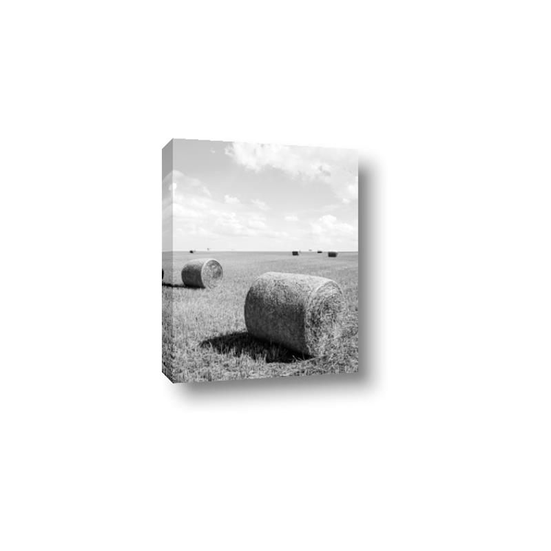 Picture of Hay Bail _GroupedProduct_Rectangle_Portrait_Photography _GroupedProduct_Rectangle_Portrait_Canvas_