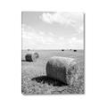 Picture of Hay Bail _GroupedProduct_Rectangle_Portrait_Photography _GroupedProduct_Rectangle_Portrait_Canvas_