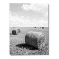 Picture of Hay Bail _GroupedProduct_Rectangle_Portrait_Photography _GroupedProduct_Rectangle_Portrait_Canvas_