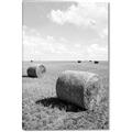 Picture of Hay Bail _GroupedProduct_Rectangle_Portrait_Photography _GroupedProduct_Rectangle_Portrait_Canvas_