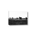 Picture of Cow Field  _GroupedProduct_Rectangle_Landscape_Photography _GroupedProduct_Rectangle_Landscape_Canvas_