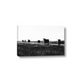 Picture of Cow Field  _GroupedProduct_Rectangle_Landscape_Photography _GroupedProduct_Rectangle_Landscape_Canvas_