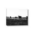 Picture of Cow Field  _GroupedProduct_Rectangle_Landscape_Photography _GroupedProduct_Rectangle_Landscape_Canvas_