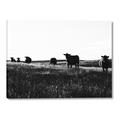 Picture of Cow Field  _GroupedProduct_Rectangle_Landscape_Photography _GroupedProduct_Rectangle_Landscape_Canvas_