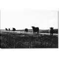 Picture of Cow Field  _GroupedProduct_Rectangle_Landscape_Photography _GroupedProduct_Rectangle_Landscape_Canvas_
