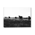 Picture of Cow Field  _GroupedProduct_Rectangle_Landscape_Photography _GroupedProduct_Rectangle_Landscape_Canvas_