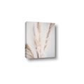 Picture of Whispy Pampas _GroupedProduct_Rectangle_Portrait_Photography _GroupedProduct_Rectangle_Portrait_Canvas_